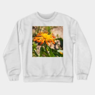 Mountain Wildflower by Debra Martz Crewneck Sweatshirt